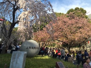 上野恩賜公園の桜